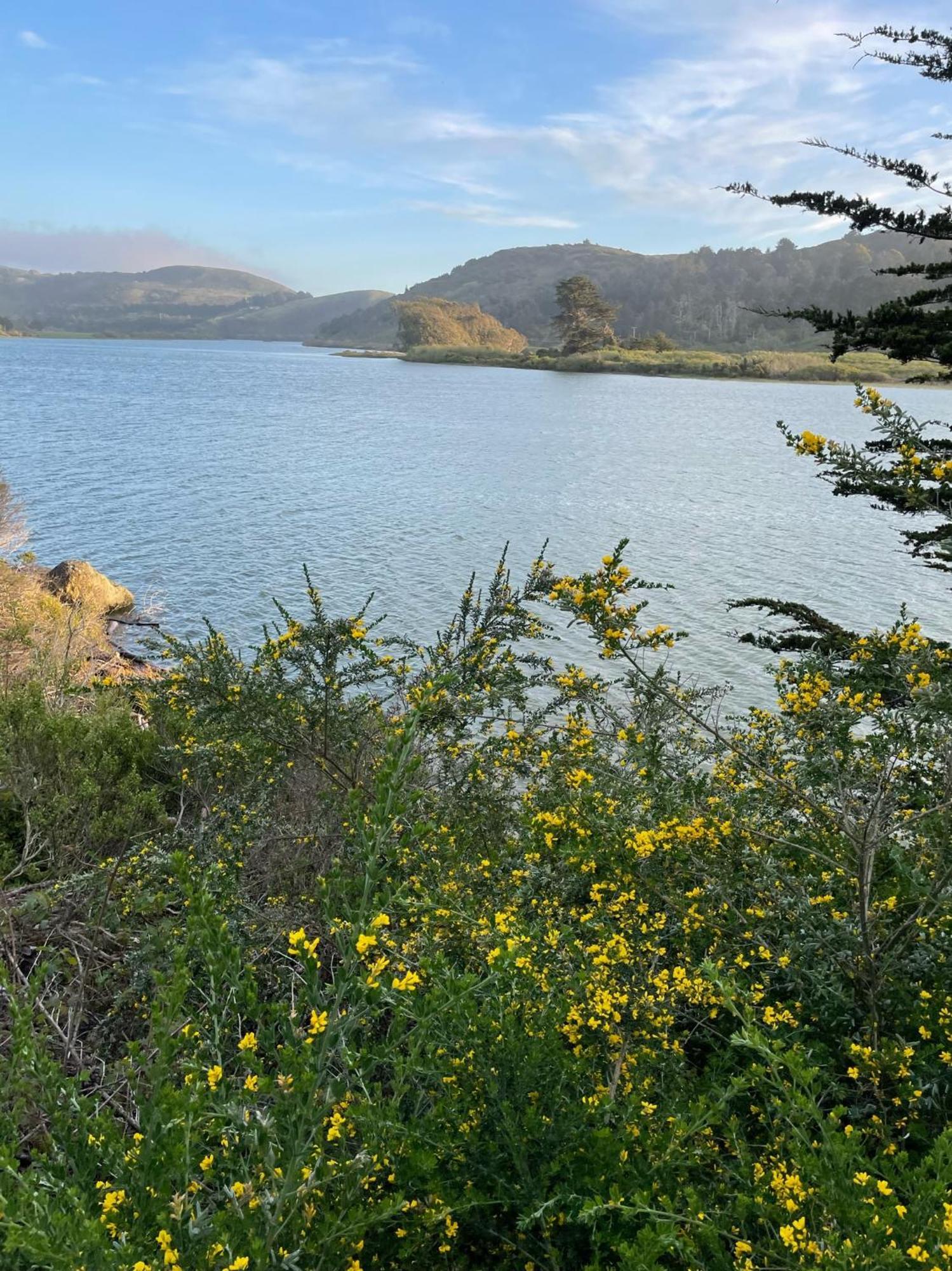 Jenner Inn Bagian luar foto